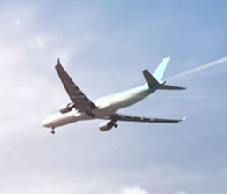 ˾W(wng)վİϾ--gӭѶཨh