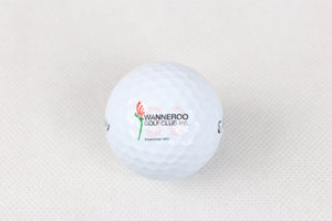 Promotional Products - Golf Balls Divot Tools and Coasters - Gift Pack